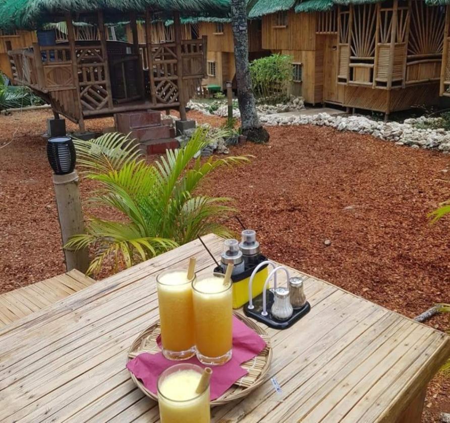 Nirvana Resort & Dive Centre - Moalboal Zewnętrze zdjęcie